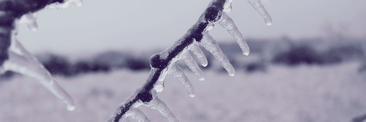 Climate Change and Texas Winter Storm Header